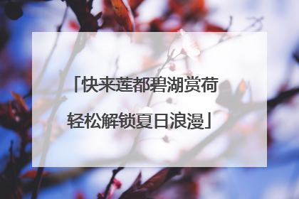 快来莲都碧湖赏荷 轻松解锁夏日浪漫