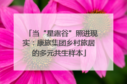 当“星露谷”照进现实：康旅集团乡村旅居的多元共生样本