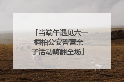 当端午遇见六一 桐柏公安警营亲子活动嗨翻全场