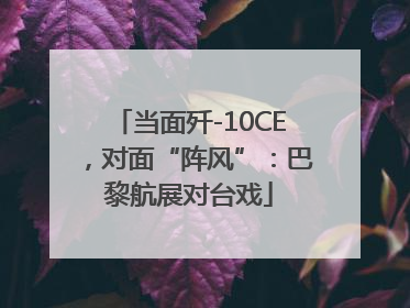 当面歼-10CE，对面“阵风”：巴黎航展对台戏