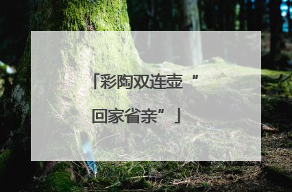 彩陶双连壶“回家省亲”