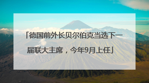 德国前外长贝尔伯克当选下一届联大主席，今年9月上任