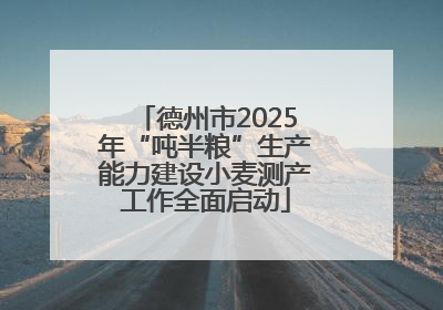 德州市2025年“吨半粮”生产能力建设小麦测产工作全面启动