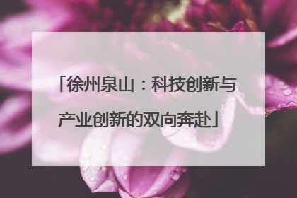 徐州泉山：科技创新与产业创新的双向奔赴