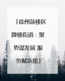 徐州鼓楼区牌楼街道：聚势谋发展 服务赋新能