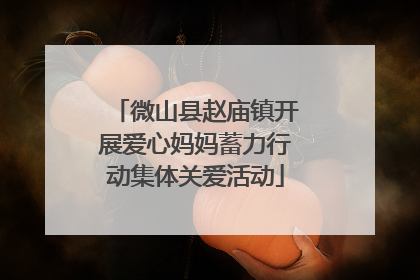 微山县赵庙镇开展爱心妈妈蓄力行动集体关爱活动
