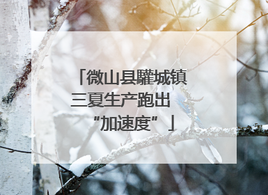 微山县驩城镇三夏生产跑出 “加速度”