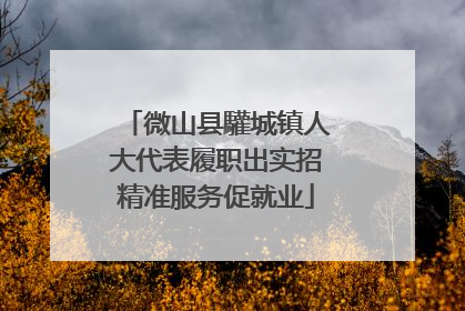 微山县驩城镇人大代表履职出实招精准服务促就业