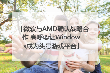 微软与AMD确认战略合作 高呼要让Windows成为头号游戏平台