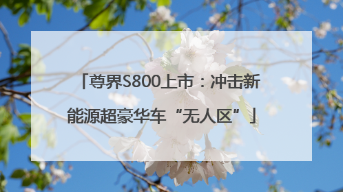 尊界S800上市：冲击新能源超豪华车“无人区”