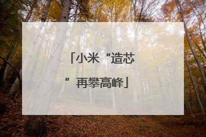 小米“造芯”再攀高峰
