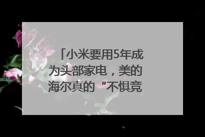 小米要用5年成为头部家电，美的海尔真的“不惧竞争”？｜热财经