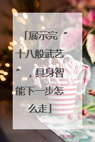 展示完“十八般武艺”，具身智能下一步怎么走