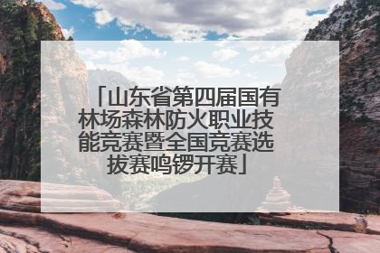 山东省第四届国有林场森林防火职业技能竞赛暨全国竞赛选拔赛鸣锣开赛
