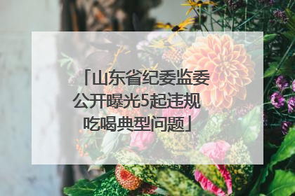 山东省纪委监委公开曝光5起违规吃喝典型问题