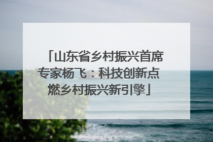 山东省乡村振兴首席专家杨飞：科技创新点燃乡村振兴新引擎