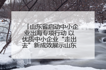 山东省启动中小企业出海专项行动 以优质中小企业“走出去”新成效展示山东产业发展新形象
