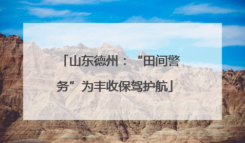 山东德州：“田间警务”为丰收保驾护航