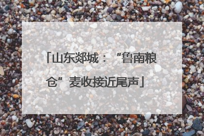 山东郯城：“鲁南粮仓”麦收接近尾声