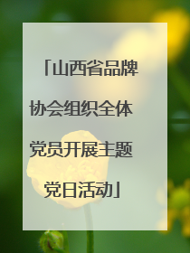 山西省品牌协会组织全体党员开展主题党日活动