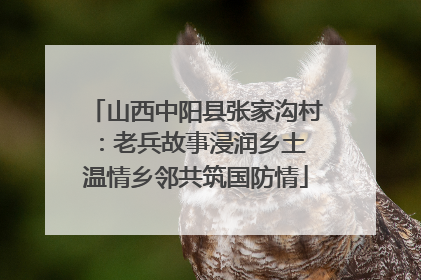 山西中阳县张家沟村：老兵故事浸润乡土 温情乡邻共筑国防情