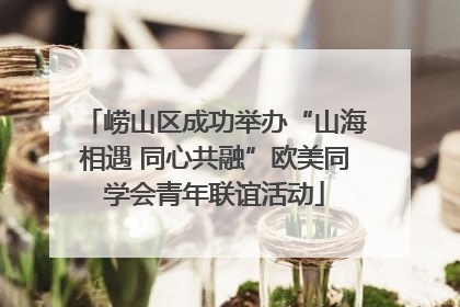 崂山区成功举办“山海相遇 同心共融”欧美同学会青年联谊活动