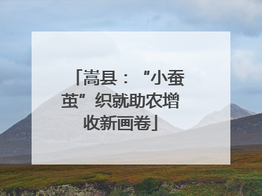 嵩县：“小蚕茧”织就助农增收新画卷