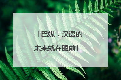 巴媒：汉语的未来就在眼前