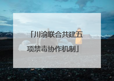 川渝联合共建五项禁毒协作机制