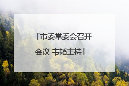 市委常委会召开会议 韦韬主持