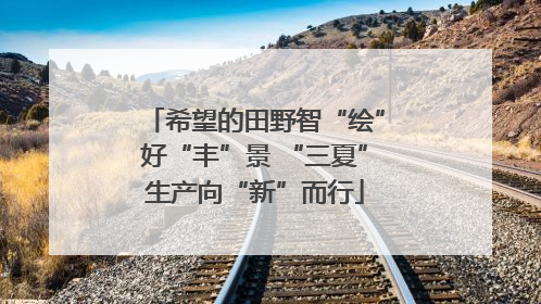 希望的田野智“绘”好“丰”景 “三夏”生产向“新”而行