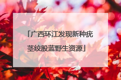 广西环江发现新种疣茎绞股蓝野生资源
