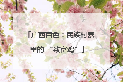 广西百色：民族村寨里的 “致富鸡”