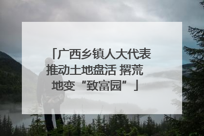 广西乡镇人大代表推动土地盘活 撂荒地变“致富园”