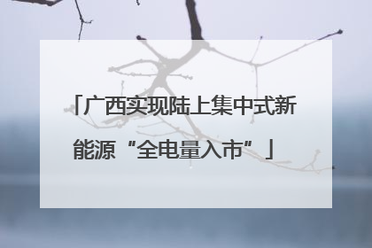 广西实现陆上集中式新能源“全电量入市”