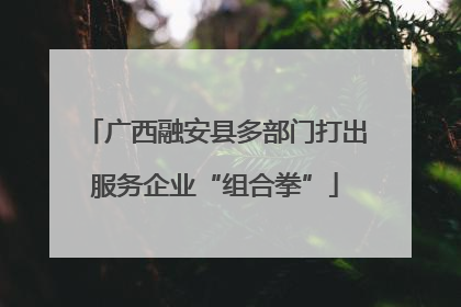 广西融安县多部门打出服务企业“组合拳”