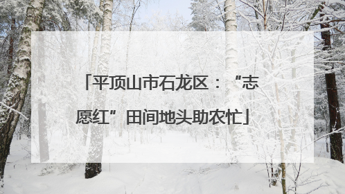 平顶山市石龙区：“志愿红”田间地头助农忙
