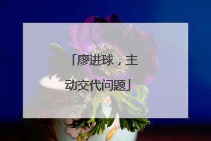廖进球，主动交代问题