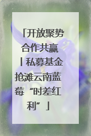 开放聚势 合作共赢丨私募基金抢滩云南蓝莓“时差红利”