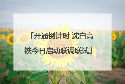 开通倒计时 沈白高铁今日启动联调联试