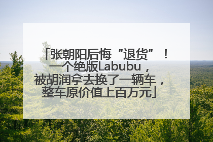 张朝阳后悔“退货”！一个绝版Labubu，被胡润拿去换了一辆车，整车原价值上百万元