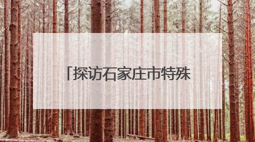 探访石家庄市特殊教育学校：他们的梦想，一样远大