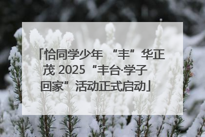 恰同学少年 “丰”华正茂 2025“丰台·学子回家”活动正式启动