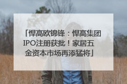 悍高欧锦锋：悍高集团IPO注册获批！家居五金资本市场再添猛将