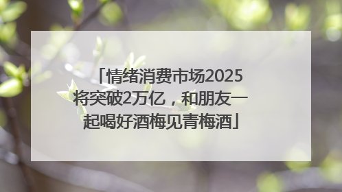 情绪消费市场2025将突破2万亿，和朋友一起喝好酒梅见青梅酒
