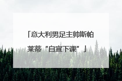 意大利男足主帅斯帕莱蒂“自宣下课”
