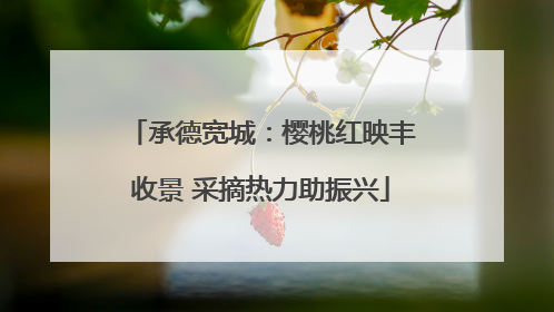 承德宽城：樱桃红映丰收景 采摘热力助振兴