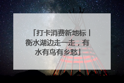 打卡消费新地标丨衡水湖边走一走，有水有鸟有乡愁