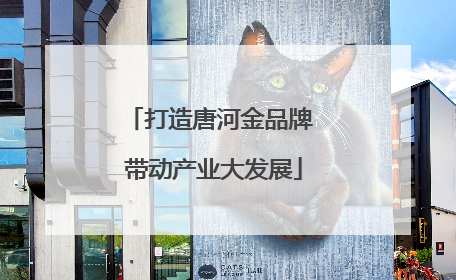 打造唐河金品牌 带动产业大发展