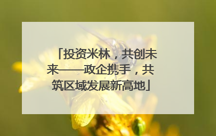 投资米林，共创未来——政企携手，共筑区域发展新高地